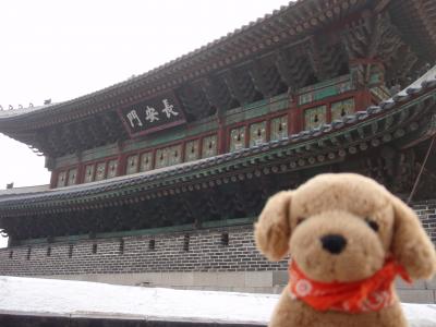 ?ちゃむたの当選旅行記♪ロッテキャンペーン・ソウル２００９（世界遺産の街、水原へ～編）