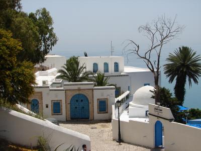 チュニジアへ　‘チュニジアンブルーと白のコントラスト’