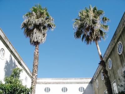 ポルトガルぐるり3