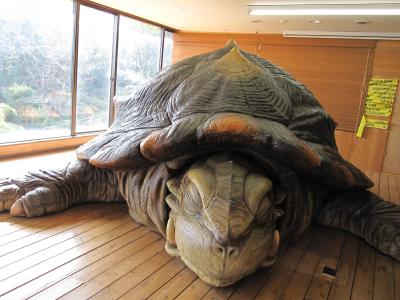 05．早春伊豆旅行　～伊豆アンディランド～