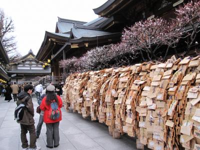 湯島天神　梅見に出かけました