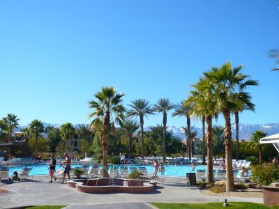 冬でも泳げる!パームスプリングスでオーガニックな日々