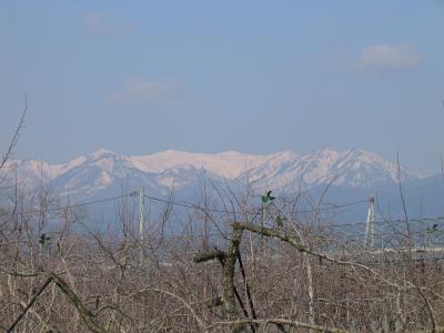 ミステリー・ツアー