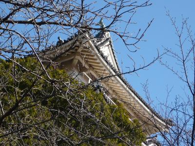 2009年1月　冬の小田原　お城と海岸
