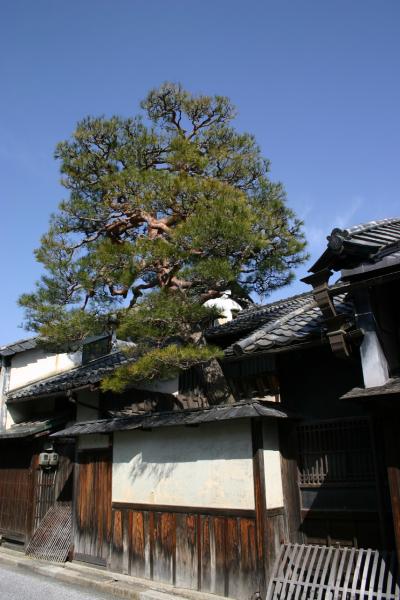 近江八幡◆6.5Kmの町歩き　【近江商人の町編】