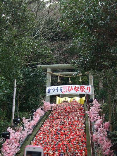 勝浦ビッグひなまつり