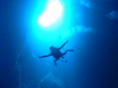 2009 ダイバーの夢が叶う海中世界 パラオ