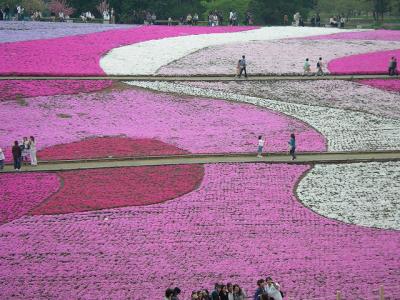 【小さな旅】2006年・想い出の小さな旅　秩父の芝桜