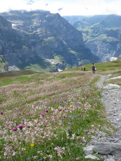 スイスの旅　2008.8(6)★メンリッヒェン、アイガーグレッチャーハイキング★