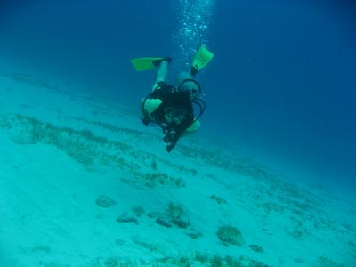 メキシカンカリブ旅行記?　～コスメルダイブの予定が・・・？！～