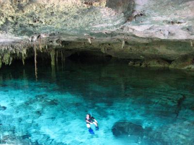 メキシカンカリブ旅行記?　～セノーテダイビング　part?