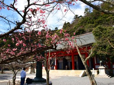 2009年3月 京都鞍馬他（源義経公ゆかりの地）