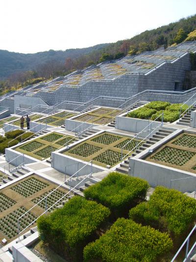 あわじ　一足早めの春日和