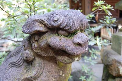 私的山旅記録・・・思い出の山高尾