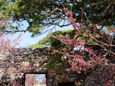 沖縄二日目「今帰仁城跡」「古宇利島」へ... Okinawa in Japan