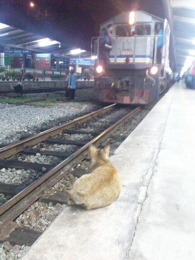 ジョホールバルちょっと街歩き　帰りはマレーシア鉄道で国境越え♪