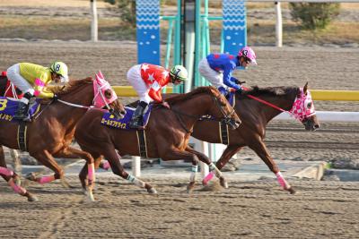 船橋競馬場