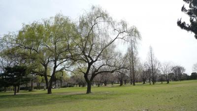 もう春だぁー公園に散歩しに行こう☆(春日公園・大宰府歴史スポーツ公園）