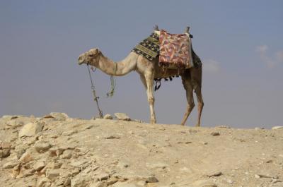 憧れのエジプト