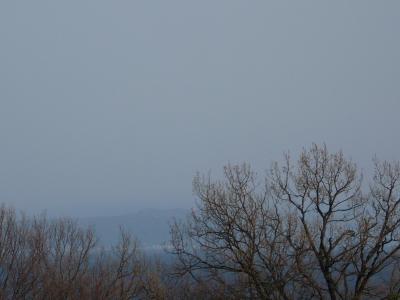 2009年3月　久々の伊豆高原