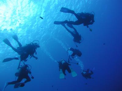 まりものダイビング日記　☆∵～さぁ探検だ！！～∵☆