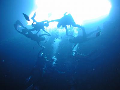 まりものダイビング日記　☆∵～わっかだよぉ～∵☆