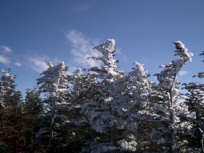 横谷・蓼科ﾊﾞﾗｸﾗ・北八ッ横岳(ﾋﾟﾗﾀｽお手軽登山)ﾄﾞﾗｲﾌﾞの旅。