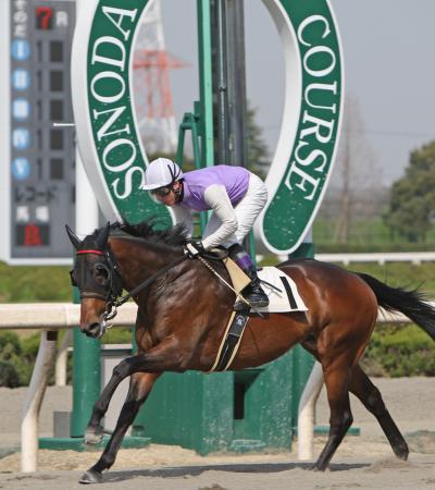 園田競馬場