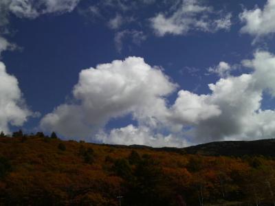 秋のお山
