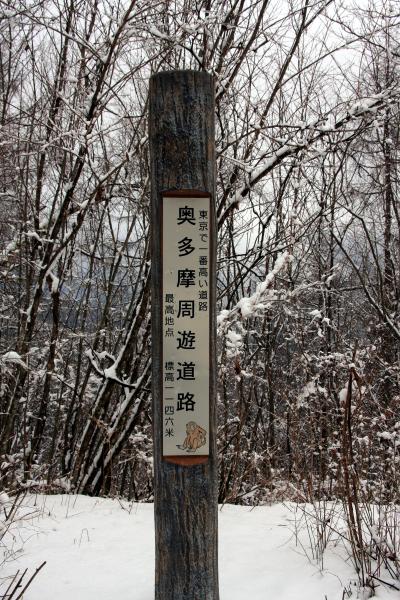 雪景色をみながらのドライブ・奥多摩周遊道路