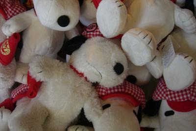 *祝卒業* 嗚呼、USJ