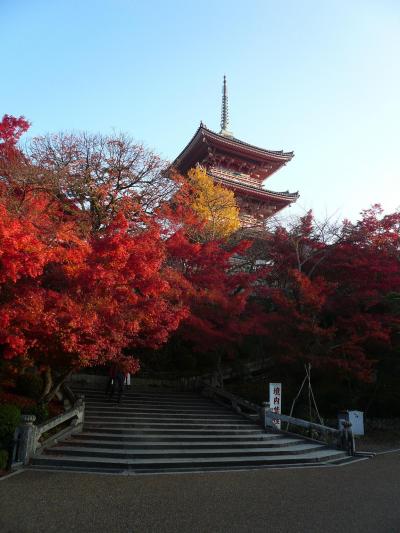 紅葉の京都２００８