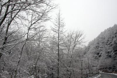 雪景色みながらのドライブ・青梅街道