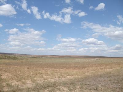 カザフスタンの草原