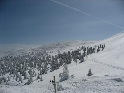 山形蔵王でスキーをしてきました（初日）