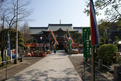 開花前の川崎大師