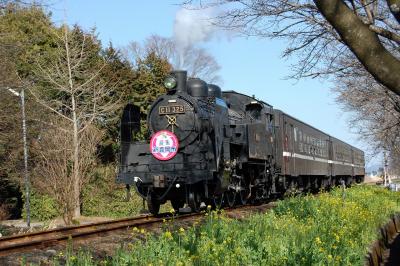 なかなか奥が深い　真岡鉄道ＳＬの写真撮影