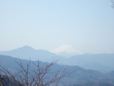 高尾山はパワースポットであった。