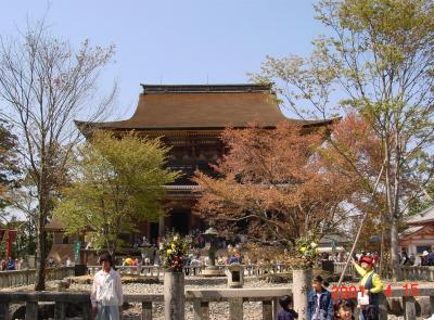 奈良県　吉野郡　金峯山寺が所在する吉野山の桜と周辺など