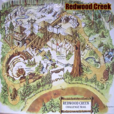 Redwood Creek Challenge Trail