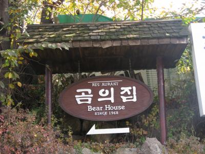 ３泊４日　ソウルの旅　２００８年１０～１１月編　No,2