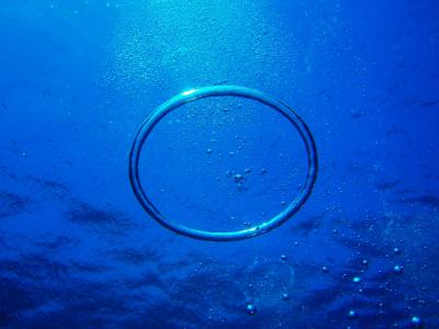 ワンキーの冒険　～沖縄本島・恩納村ダイビング編～