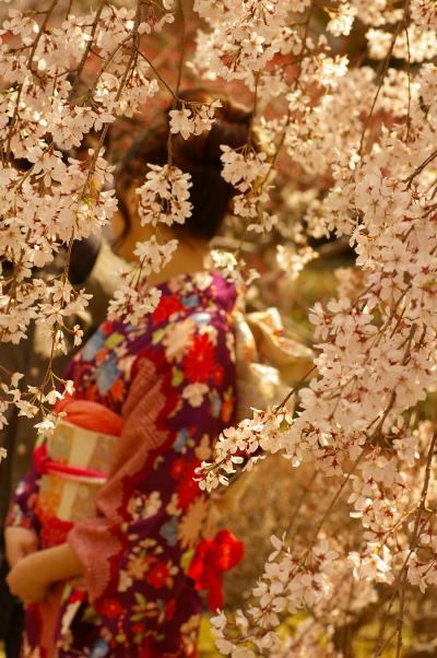 待ちきれない桜を探しに小石川後楽園へ