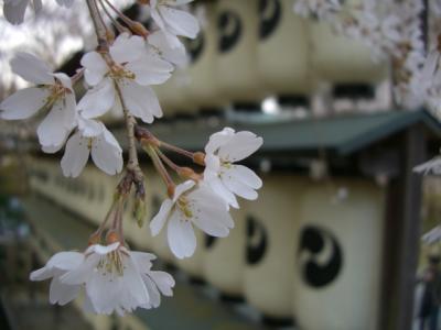 大石神社でオフ会　　