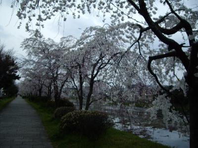 ●京都/石山/名古屋