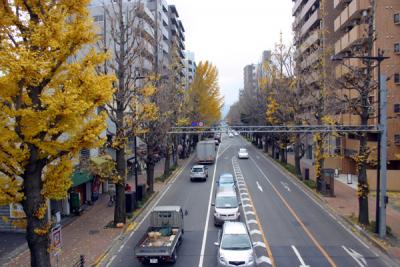 初冬の八王子散策