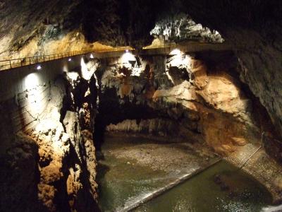 スロヴェニア一人旅?　ポストイナ鍾乳洞