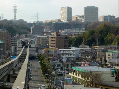2009.3多摩，八王子大栗川散歩3-多摩横山の面影を求めて　古い神社と寺