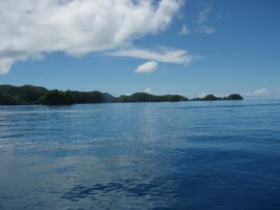 コンチネンタルで行くグアム経由パラオ-2日目「ダイビング」タートルウォール&ブルーコーナー編