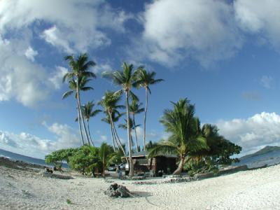 まりものダイビング日記*。.☆Iｎ JEEP　Island　☆.。*